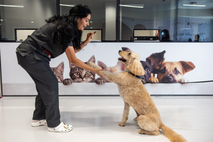 Qatar Airways Cargo unveils world’s largest live animal centre