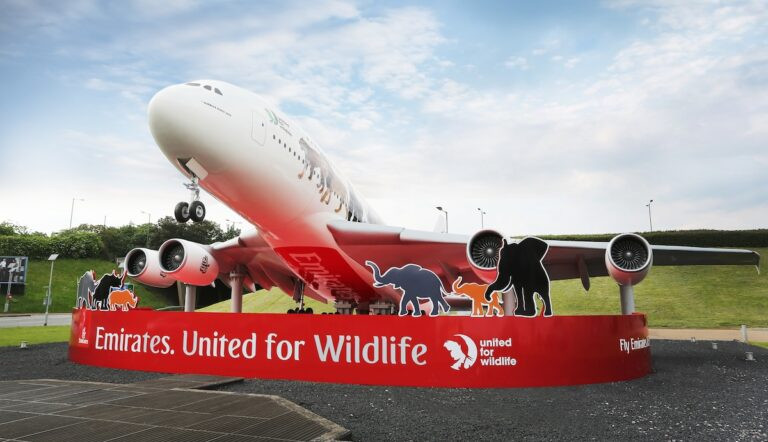 emirates-declares-world-donkey-pores-and-skin-ban