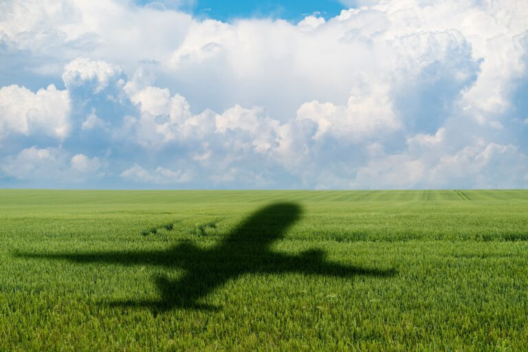 Cutting again emissions with carbon elimination – Air Cargo Week