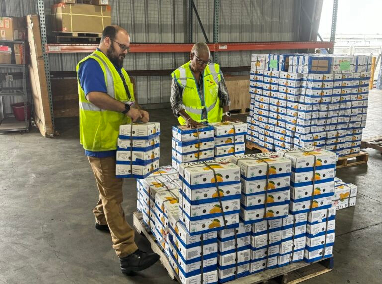 American Airways Cargo strikes file-breaking volumes of mangoes this summer time – Air Cargo Week