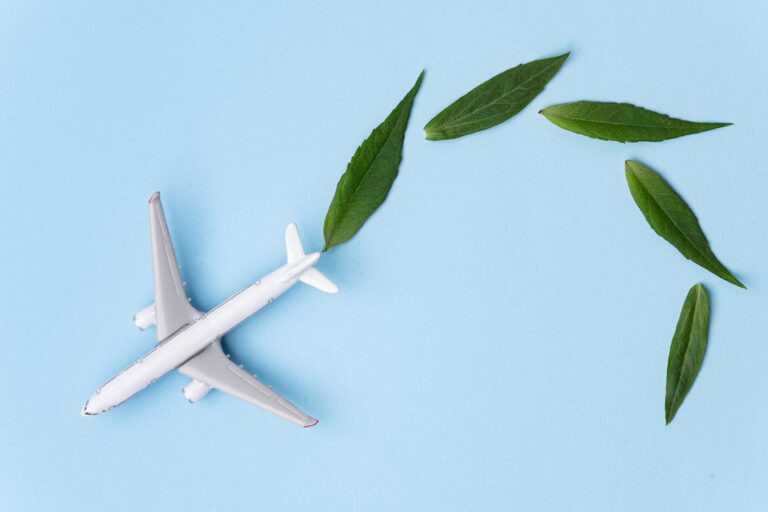 sustainable-present-chains-–-guidelines-on-how-to-future-proof-your-industry-–-air-cargo-week