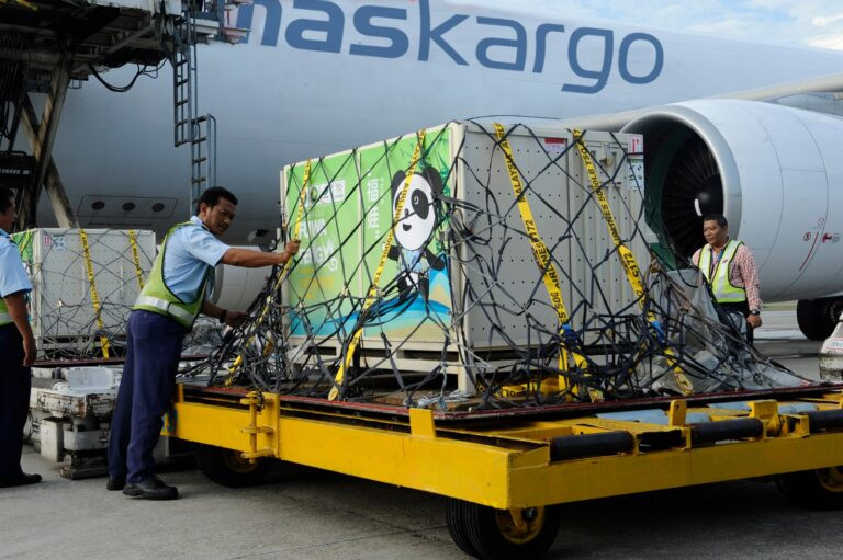 what’s-within-the-help-of-asia’s-development?-–-air-cargo-week