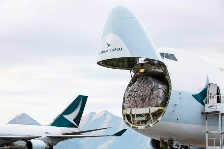 the-prolonged-flee-of-logistics-within-the-higher-bay-home-–-air-cargo-week