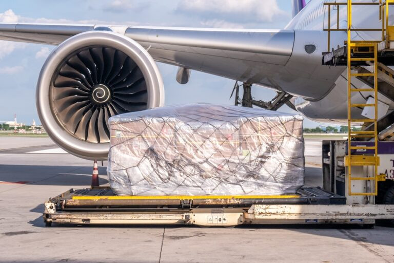 IATA: air cargo inquire up 9.8% in October 2024 – Air Cargo Week
